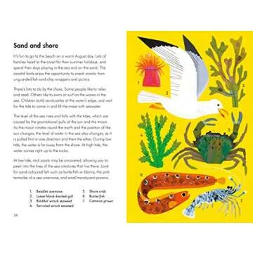 What to Look For in Summer (What to Look For in Every Season)