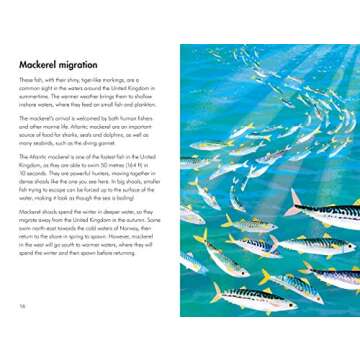 What to Look For in Summer (What to Look For in Every Season)