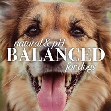 Burt's Bees for Pets Multipurpose Dog Wipes with with Honey, 98% Natural Origin Formulas, Hypoallergenic Dog Wipes Cleaning, Dog Cleaning Wipes, Dog Wipes for Paws and Butt, 50ct