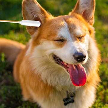 Premium Cotton Swabs for Pet Ear Cleaning - 200pcs