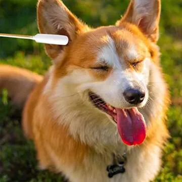 Premium Cotton Swabs for Pet Ear Cleaning - 200pcs