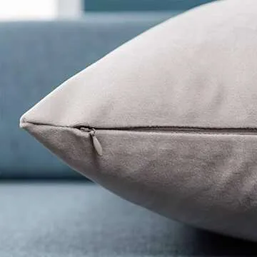 JUSPURBET Velvet Pillow Covers Pack of 2 in Champagne