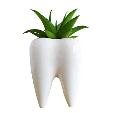 Cute Tooth Shaped Ceramic Succulent Cactus Flower Pot (Plants Not Included) (1)