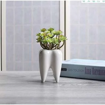 Cute Tooth Shaped Ceramic Succulent Cactus Flower Pot (Plants Not Included) (1)