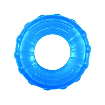 Durable Dog Chew Toy – Petstages Orka Tire