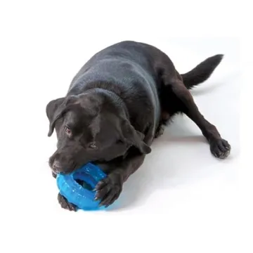 Durable Dog Chew Toy – Petstages Orka Tire