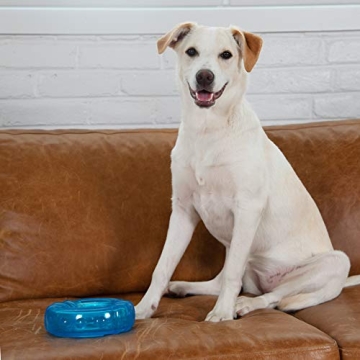 Durable Dog Chew Toy – Petstages Orka Tire