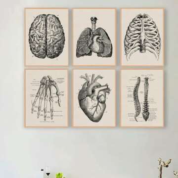Vintage Medical Prints - Historical Art for Collectors