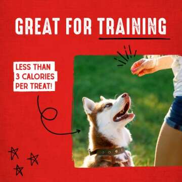 Stella & Chewy's Freeze-Dried Raw Carnivore Crunch Cage-Free Duck Recipe Dog Treats – 3.25 oz. Bag