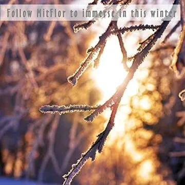 MitFlor Winter Essential Oil Set - Perfect Holiday Aroma Gift