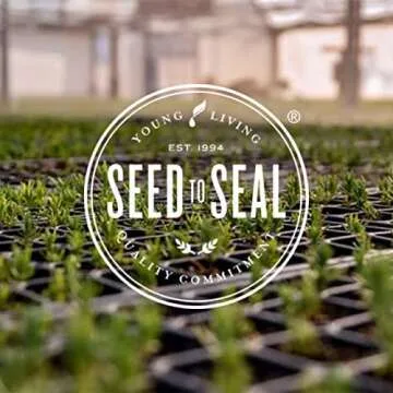 Young Living Valor Roll-On for Grounding and Relaxation