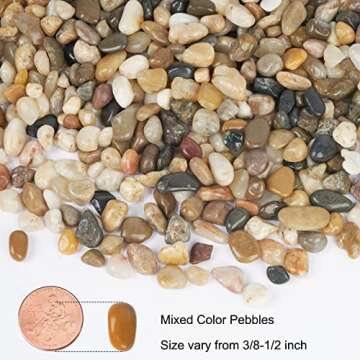 GASPRO 5 Pound Pebbles for Indoor Plants, 3/8 Inch Decorative Rocks for Vase, Succulents, Highly Polished, Mixed Color
