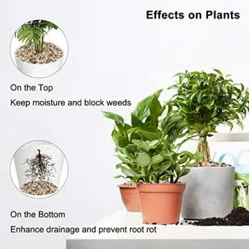 GASPRO 5 Pound Pebbles for Indoor Plants, 3/8 Inch Decorative Rocks for Vase, Succulents, Highly Polished, Mixed Color