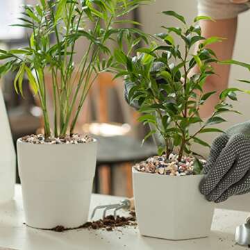 GASPRO 5 Pound Pebbles for Indoor Plants, 3/8 Inch Decorative Rocks for Vase, Succulents, Highly Polished, Mixed Color