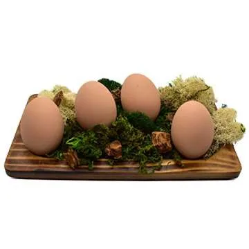 Eggcetera Ceramic Nest Eggs 4-Pack for Home Decor