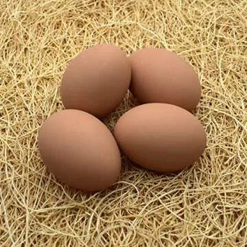 Eggcetera Ceramic Nest Eggs 4-Pack for Home Decor