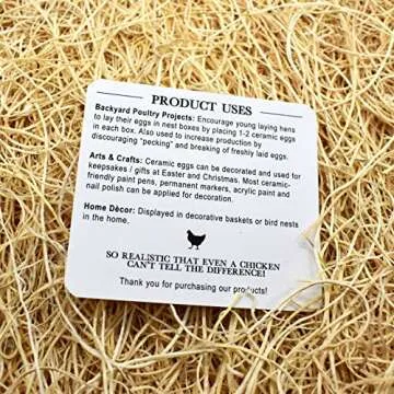 Eggcetera Ceramic Nest Eggs 4-Pack for Home Decor