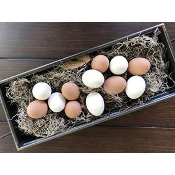 Eggcetera Ceramic Nest Eggs 4-Pack for Home Decor