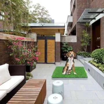 PAWISE Eco-Friendly Large Dog Training Mat for Potty Use