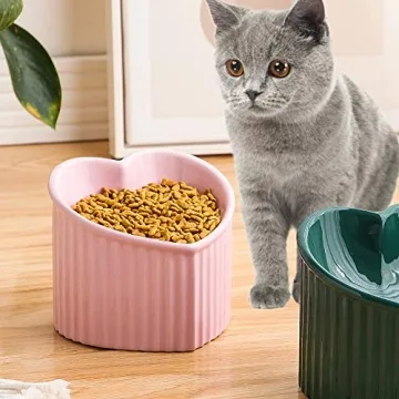 Pink Ceramic Raised Cat Bowls for Healthy Eating