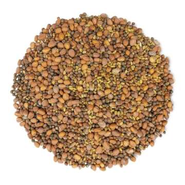 Food to Live - Spicy Mix of Sprouting Seeds, 1 Pound - Broccoli, Radish, Alfalfa, Kosher, Raw