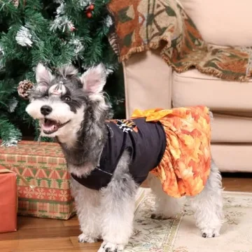 CuteBone Dog Velvet Dress for Small Dogs - Charming Style