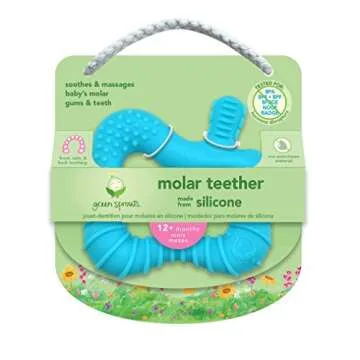 Green Sprouts Molar Teether - Soothes Baby's Gums Safely