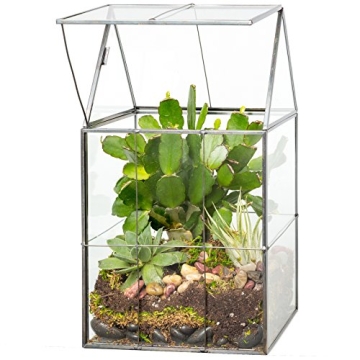 D'Eco Glass Geometric Plant Terrarium (6"x5"x11") - Indoor Tabletop Black Hinged Roof Planter Terrar...