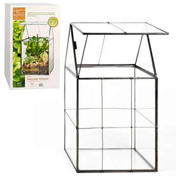 D'Eco Glass Geometric Terrarium - Perfect for Plant Lovers