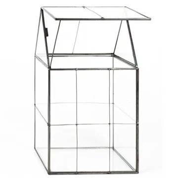 D'Eco Glass Geometric Terrarium - Perfect for Plant Lovers