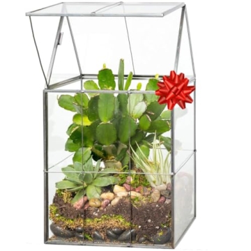 D'Eco Glass Geometric Terrarium - Perfect for Plant Lovers
