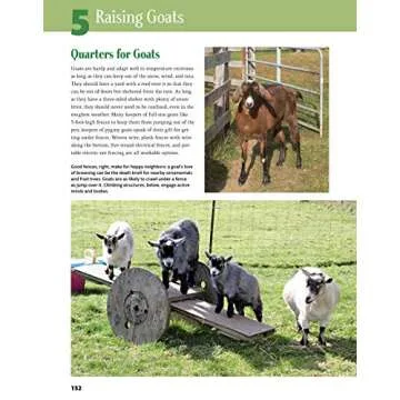 Backyard Homesteading: A Back-to-Basics Guide to Self-Sufficiency (Creative Homeowner) Learn How to Grow Fruits, Vegetables, Nuts & Berries, Raise Chickens, Goats, & Bees, and Make Beer, Wine, & Cider