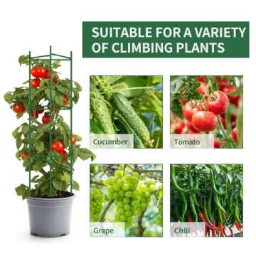 TOCCYARD 3 Pack Tomato Cages for Garden Plant Support, Up to 48Inch Tomato Trellis Assembled Garden Stakes, Plant Trellis with 66Ft Twist Tie, Fit Vertical Climbing Plants, Vegetables, Flowers