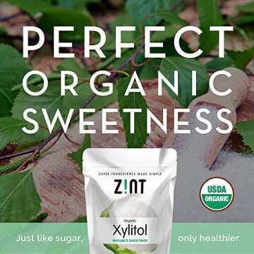 Zint Xylitol Sweetener