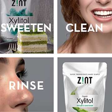 Zint Xylitol Sweetener