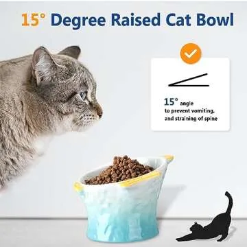 Tioncy 2 Pcs Raised Tilted Ceramic Cat Food Bowl Fish Shape Cute Elevated Slanted Shallow Angled Cat Dish Non Slip Feeder Bowl for Anti-Vomiting and Whisker Fatigue(Blue, Green)