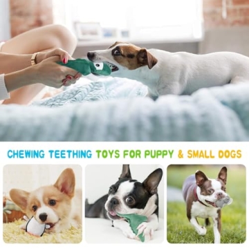 Buy LEGEND SANDY Squeaky Dog Toys for Playful Puppies