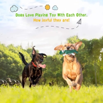 Buy LEGEND SANDY Squeaky Dog Toys for Playful Puppies