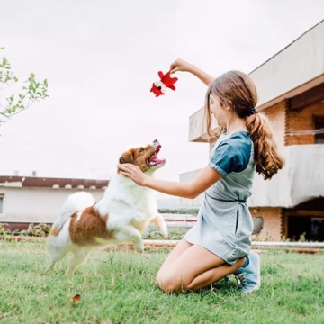 Buy LEGEND SANDY Squeaky Dog Toys for Playful Puppies