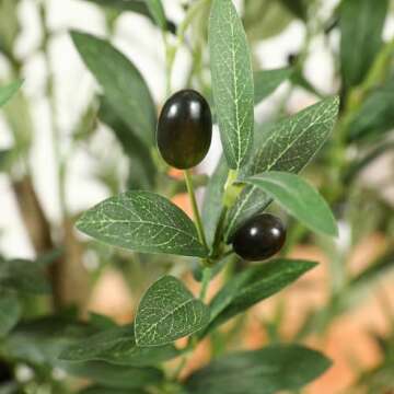 Ferrgoal Artificial Olive Trees 6Ft Fake Olive Plant with Basket Faux Plants Indoor Outdoor Fake Tree in Pot Slik Plants for Home Decor Office Living Room Perfect Housewarming Gift Green 2Pack