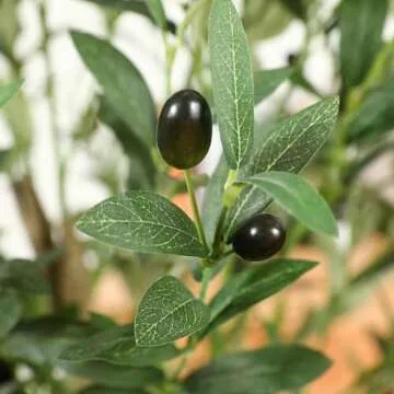 Ferrgoal Artificial Olive Trees 6Ft Fake Olive Plant with Basket Faux Plants Indoor Outdoor Fake Tree in Pot Slik Plants for Home Decor Office Living Room Perfect Housewarming Gift Green 2Pack