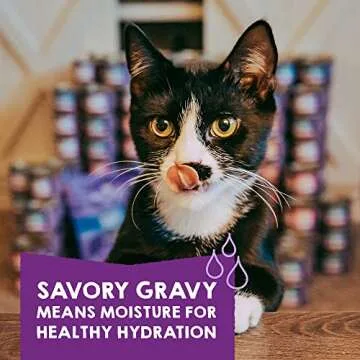 Stella & Chewy’s Savory Shreds - Gourmet Cat Food Variety