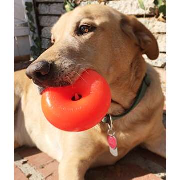 Ruff Dawg Dawg-Nut XL – Durable Rubber Dog Toy for Aggressive Chewers - Floats in Water - Assorted Neon Colors for Easy Visibility - Made in the USA