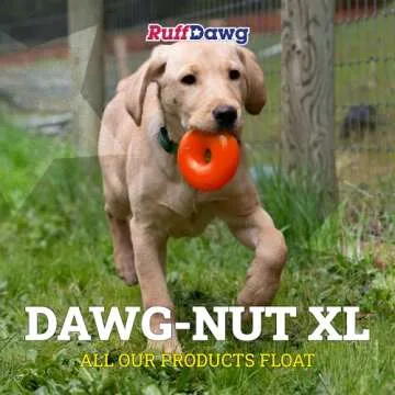 Ruff Dawg Dawg-Nut XL – Durable Rubber Dog Toy for Aggressive Chewers - Floats in Water - Assorted Neon Colors for Easy Visibility - Made in the USA