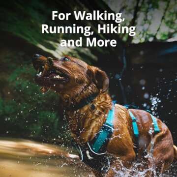 Ruffwear, Flag line Dog Harness, Lightweight and Reflective, No Pull Dog Lift Harness for Hiking, Running and Everyday Use, Blue Dusk, Medium