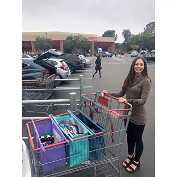 Lotus Trolley Bags - Eco-Friendly Grocery Solution with Cooler