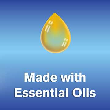 Arm & Hammer Dryer Sheet 144ct Mountain Rain