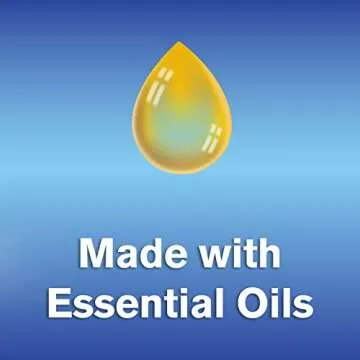 Arm & Hammer Dryer Sheet 144ct Mountain Rain