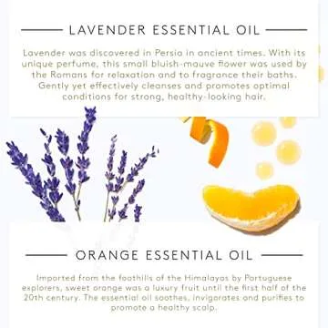 Rene Furterer COMPLEXE 5 Stimulating Plant Concentrate - Pre-Shampoo Detox Scalp Treatment - Orange & Lavendar Essential Oils - 1.6 fl. oz.