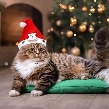 Pet Christmas Costume with Santa Hat and Elk Design